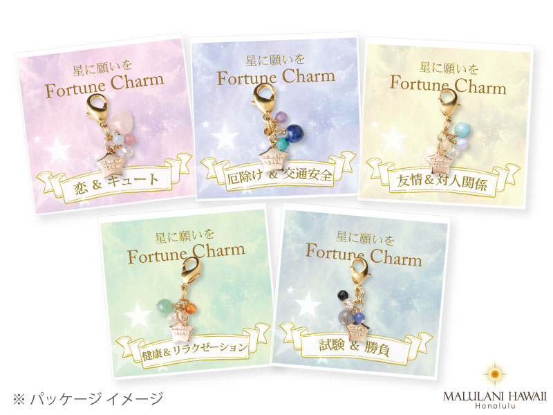 Fortune Charm