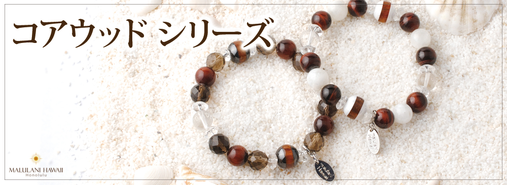 hawaii_salon