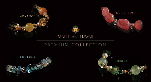 �ץ�ߥ��ॳ�쥯�����