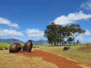 Malulani Hawaii 効果