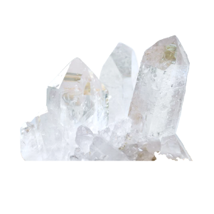 �������å�����