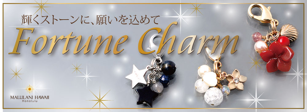 fortune_charm2019