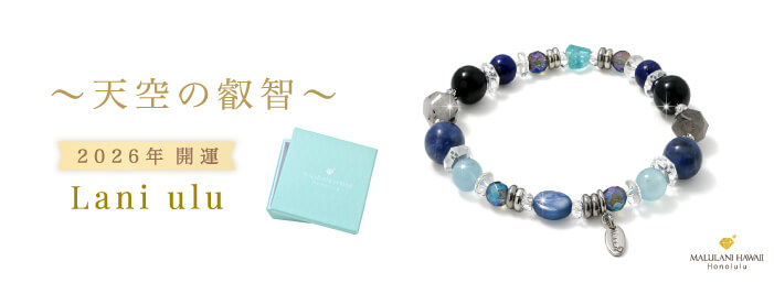 ŷ���α���