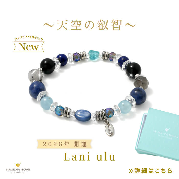 ŷ���α���