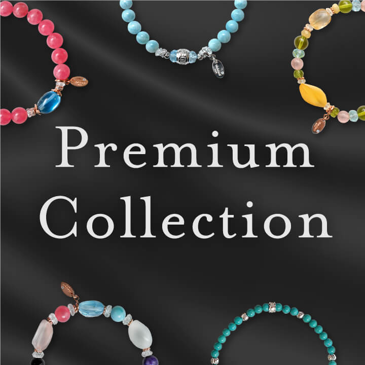 �ץ�ߥ����ý�