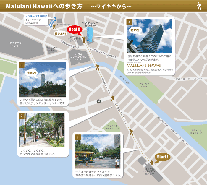 本店地図